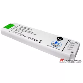 napájecí zdroj 100W / 24V FTPC100V24-ZIGBEE (Alexa echo)